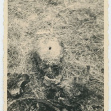 Ekshumacje zwłok pomordowanych pod Kaliszem w czasie II Wojny Światowej