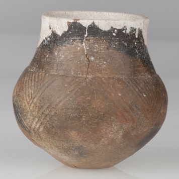 naczynie beczułkowate 