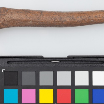 Poroże półsurowiec