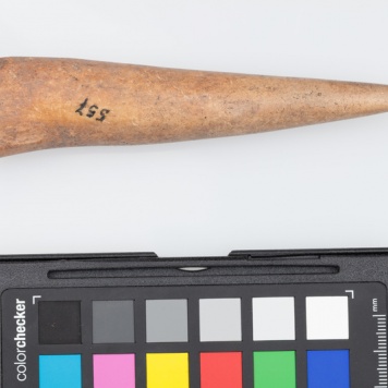 Poroże półsurowiec