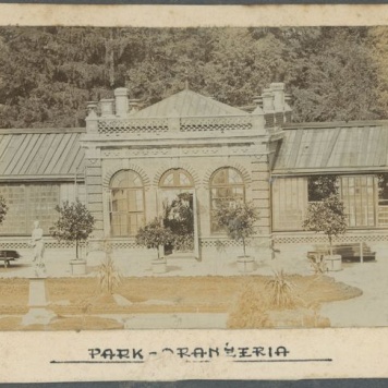Park - Oranżeria
