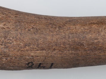 Półfabrykat z poroża