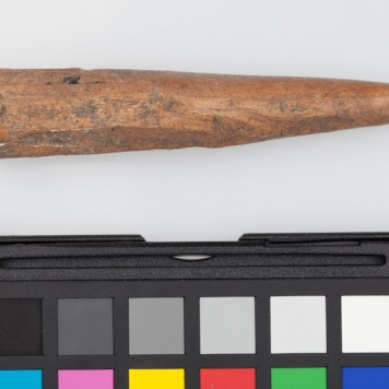 Poroże półsurowiec