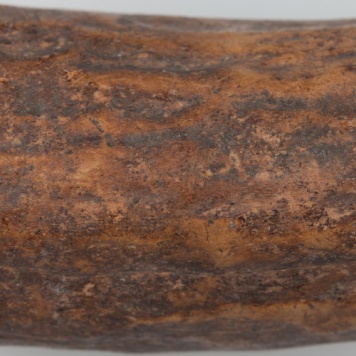 Półfabrykat z poroża