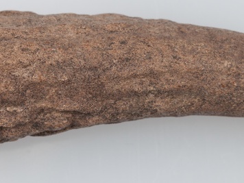 Poroże półsurowiec