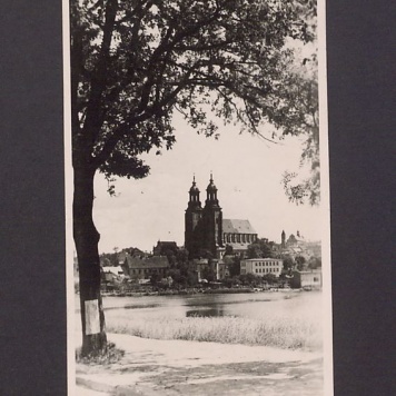 Widok na katedrę od ul. Poznańskiej.