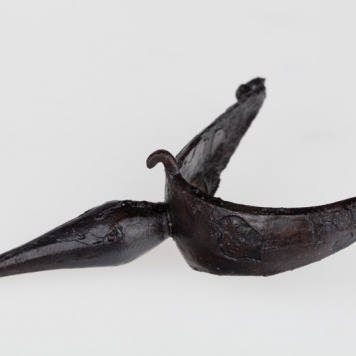 Asymetryczna ostroga żelazna