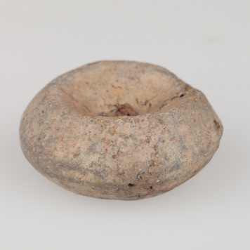 Przęślik gliniany dwustożkowaty