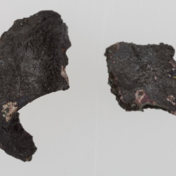 Skręt brązowy "salta leone"