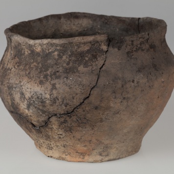 Waza szerokootworowa 