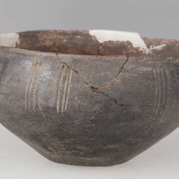 Misa z baniastym brzuścem