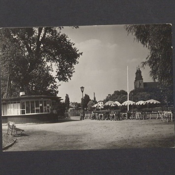 Fragment Parku Piastowskiego, w głębi katedra.