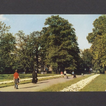 Park Kościuszki.