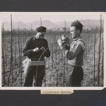 Tadeusz Kulisiewicz, fotografia