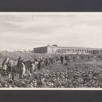 Tadeusz Kulisiewicz, fotografia