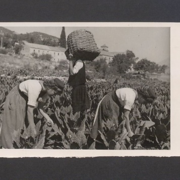 Tadeusz Kulisiewicz, fotografia
