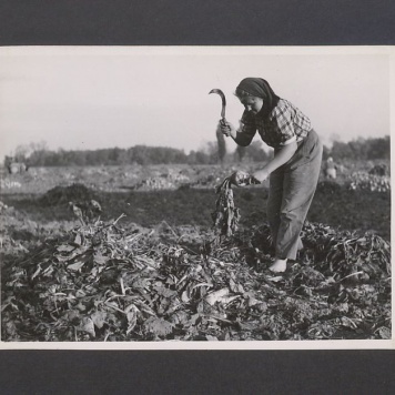 Tadeusz Kulisiewicz, fotografia