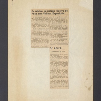 Se Abrira en Xalapa Dentro de Poco una Valiosa Exposicion