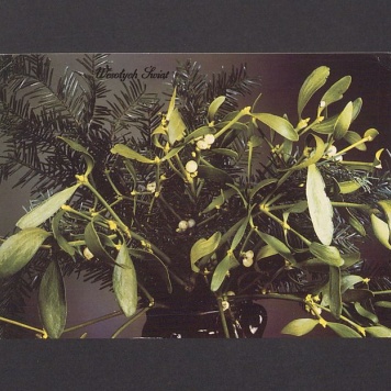 Z okazji Nowego Roku najlepsze życzenia [...]