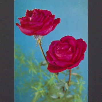 W dniu Imienin najserdeczniejsze życzenia [...]