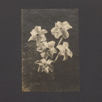 Najserdeczniejsze życzenia zdrowia [...]