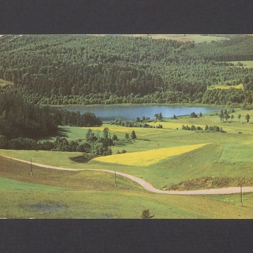 Drodzy Basiu i Tadeuszu. Dziękujemy za kartkę [...]