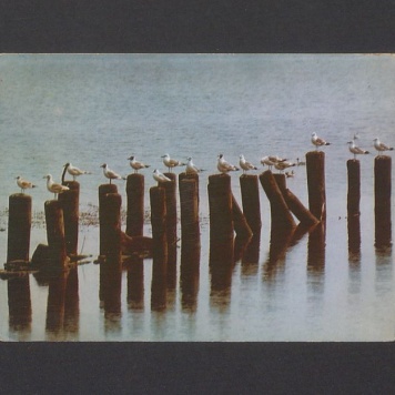 Kochani, jestem w Sopocie, pogoda bardzo piękna [...]