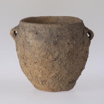 Garnek beczułkowaty