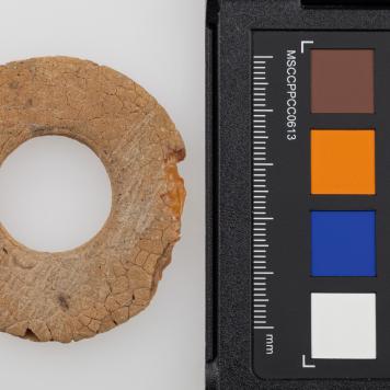 Wisiorek z bursztynu